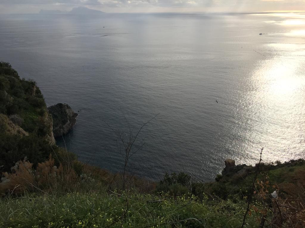 Apartment Belvedere San Martino